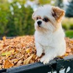 Haley Barlow - @321_muffy - Instagram