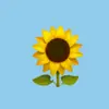 haleybarrow6 - @haley.barrow - TikTok