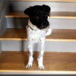 Baxter & Haley - @baxterandhaley - Instagram