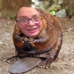 Haley The Beaver - @eager._.beaver - Instagram