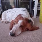 Hayley Beech - Facebook
