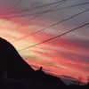 Hailee Bickford - @gymnast_4_life_258 - TikTok
