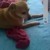 Haley Blanton - @haley.blanton0 - TikTok