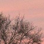 Hailey Brackett - Facebook