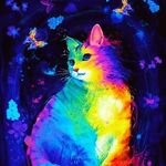 Haley Brackett (Higher Heart Reiki) - @reikilady423 - Instagram
