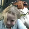 HaleyBradford2006 - @haleybradford2006 - TikTok