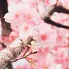 haleyburnham - @haleyburnham - TikTok