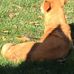Haley Busch - Facebook