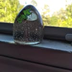 Haley Busch - @haleybusch1234 - Instagram