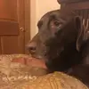 haleybusch - @haleybusch - TikTok