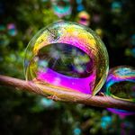 Haley Cable - @cable_photography0601 - Instagram