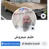 HaleyCabrera - @logarokws9s - TikTok