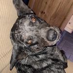 Haley cagle - @cagle5869 - Instagram