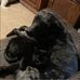 Haley Cagle - Facebook