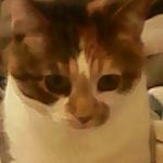 Haley Caldwell - @yarddwag2020 - Instagram