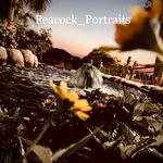 Photogrpaher: Haley Capps - @peacock_portraits_ - Instagram