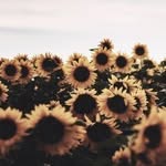Haley Case - @little_love_me15 - Instagram