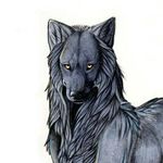Haley Coffman - @_alpha.the.wolf_ - Instagram