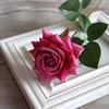 Maria_Bharmal - @haley_coffmann - TikTok