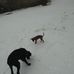 Haley Cooley - Facebook