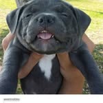 @haley_copeland_916 - Instagram