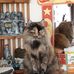 Linda Haley Cormier - Facebook
