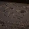 Hailey Crisp - @.hailey04_ - TikTok