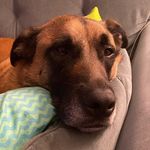 Haley Crosby - @roccobye_baby - Instagram