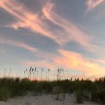 Haley Crouch - @haleycrouch - Instagram