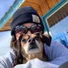 haleydaniels - @haleyddaniels - TikTok