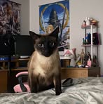 Hailey Dawson - Facebook