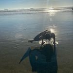 Haley Dougherty - @theyogiidevil - Instagram