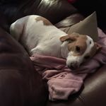 Hailey Dumont - @dumont1250 - Instagram
