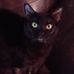 Haley Edmondson - Facebook