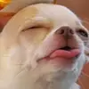 Haley - @haleytegan - TikTok