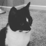 Haley Emerick - @haley_emerick10 - Instagram