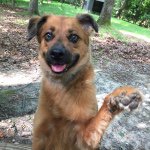 Haley Erb - @haleybearington - Instagram