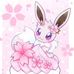 Hailey Faircloth - Facebook
