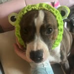 Haley Ferguson - @hferguson_2k7 - Instagram