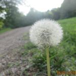 Haley Goodrich - @ladybugpics02 - Instagram
