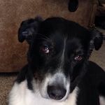 Grady Haley - @grady_haley - Instagram