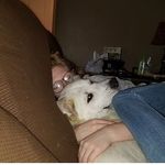 Haley - @haleyharbin_spam - Instagram