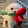 haleyhedrick - @haleyhedrick - TikTok