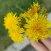 hales  - @haley.hennessey - TikTok