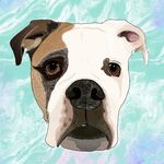 Haley Kirk - @hazey.designs - Instagram