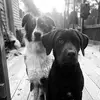 haleyk121 - @haleykiser6 - TikTok