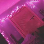 Haley Knight - @haleyknight2 - Instagram