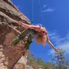 haley_r_knight - @haley_r_knight - TikTok