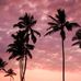 Haley Kraft - Facebook