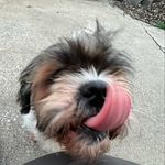 Haley - @_haleylaw_ - Instagram